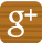 googlep