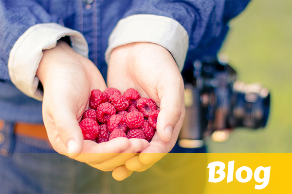 The Tropical Fruit Tribe Blog - A resource for real, whole foods.